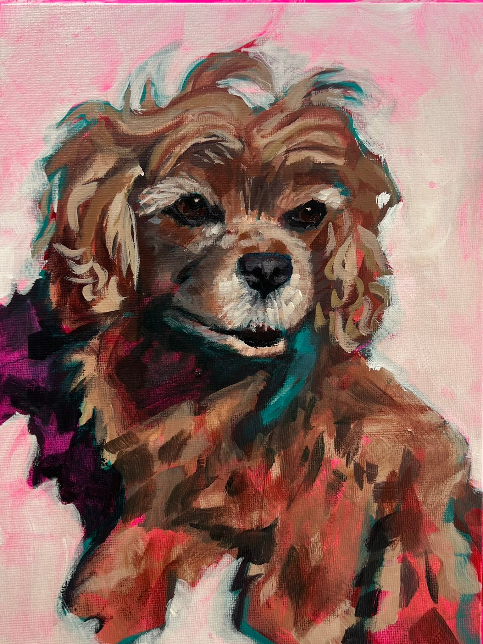 Cooper the Pup