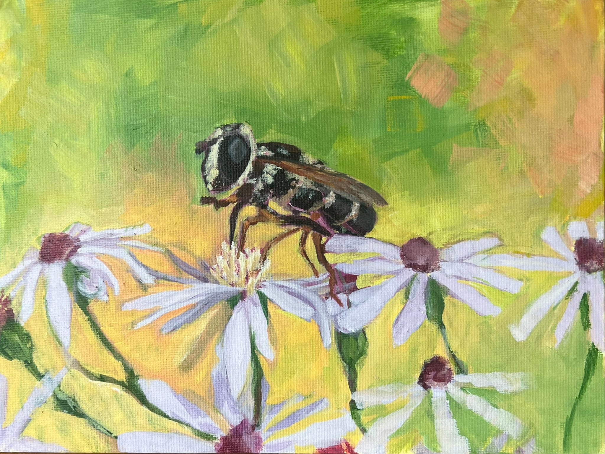 Pond Fly Study